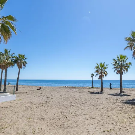 Apartment And Apartment, 100mts From The Estepona